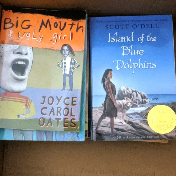 10 chapter books-soft cover - Picture 3 of 6